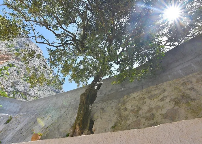 Laura On The First Floor 公寓